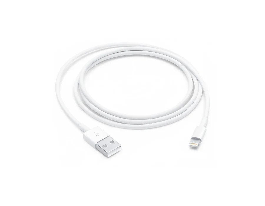 Apple Lightning to USB Cable (1 m)