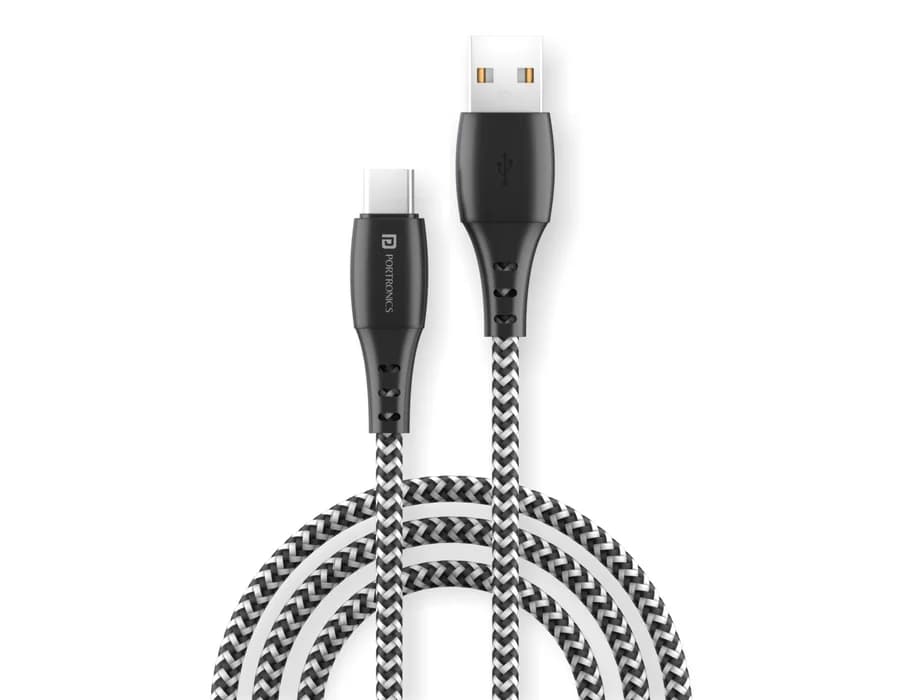 Portronics Konnect A Type C — Zebra